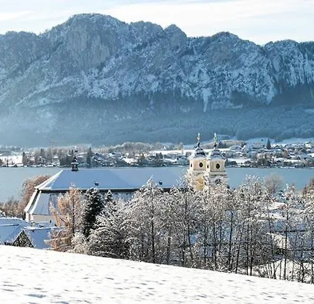 Lejlighed Comfortable And Spacious With Garden In Mondsee Tiefgarben